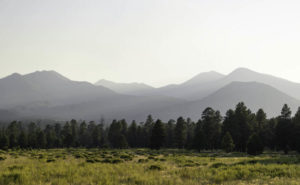 How Much Does it Cost to Build a House in Flagstaff? How Much Does it Cost to Build a House in Flagstaff?
